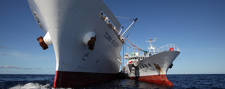 A tuna longline vessel transshipping at sea.