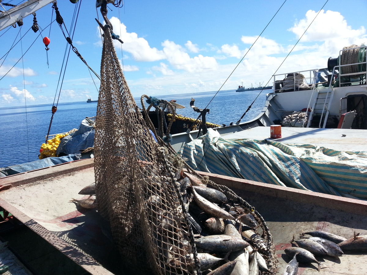 Pacific Islands Regional Fisheries Observers (PIRFO) training 