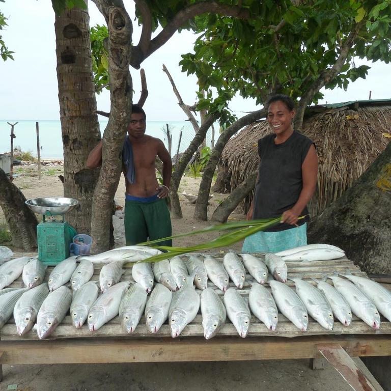 Image for Fisheries story: Climate Change and Pacific Coastal Fisheries 