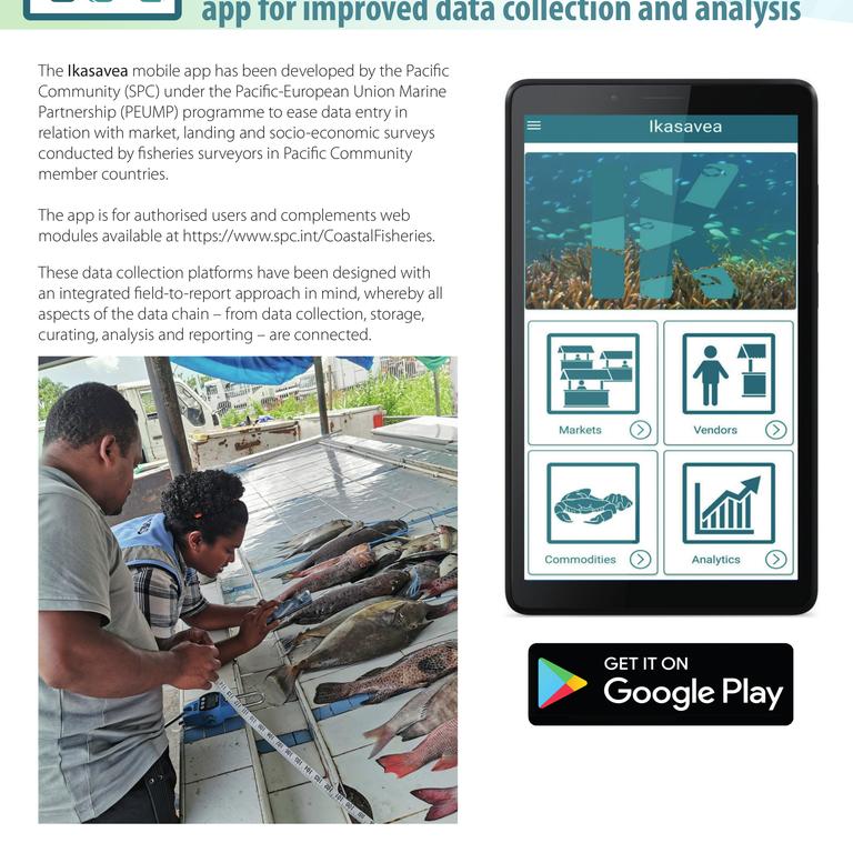 Image of fish market goes to the cloud