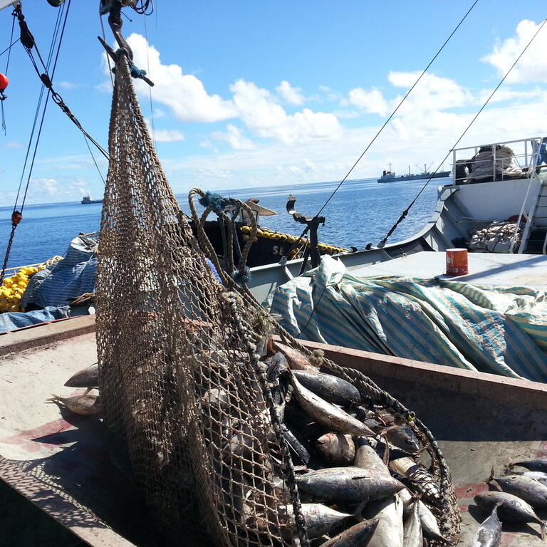 Pacific Islands Regional Fisheries Observers (PIRFO) training 