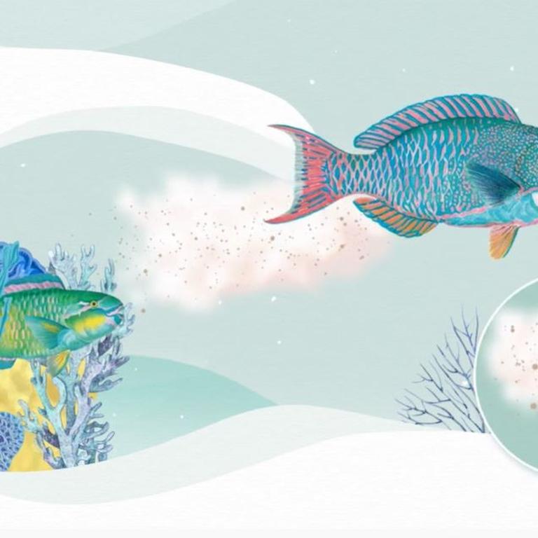 How to create awareness on sustainable fisheries