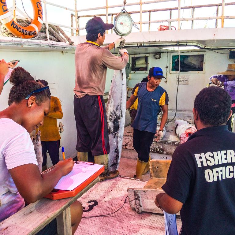 Fisheries Observer COVID 19 protocols and mitigations training